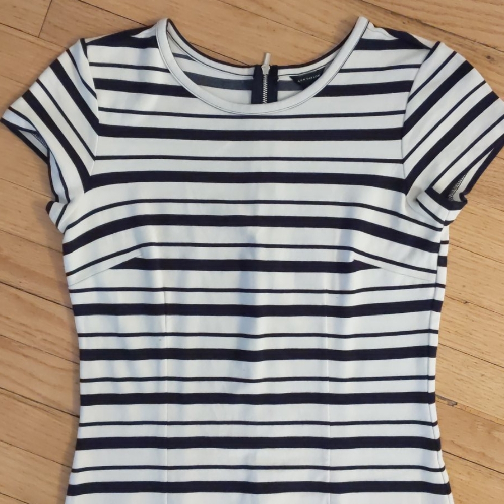 ANN TAYLOR |  Dress